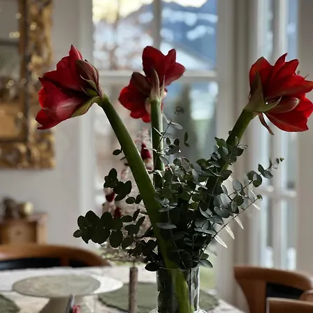 Kitzbuehel *